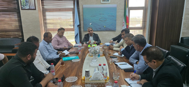 WhatsApp Image 2025-10-14 at 07.31.28_63c6155a.jpg